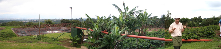 Cafe Britt Coffee Plantation - 1